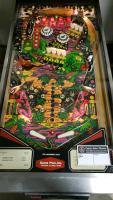 Pinball Lizard Pinball Machine by Game Plan 1980 - 5
