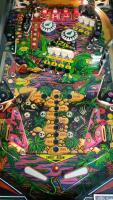 Pinball Lizard Pinball Machine by Game Plan 1980 - 6