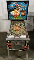 Flash Pinball Machine Williams Classic 1978 - 3