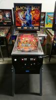 Black Belt Classic Bally Pinball Machine 1986 - 3