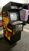 DEFENDER CLASSIC WILLIAMS UPRIGHT ARCADE GAME PROJECT - 2
