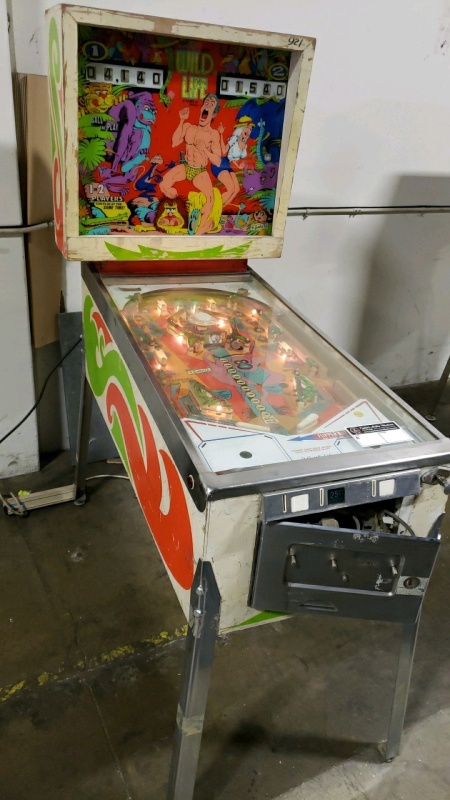 WILDLIFE CLASSIC PINBALL MACHINE GOTTLIEB PROJECT