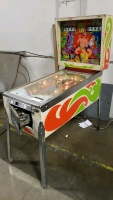 WILDLIFE CLASSIC PINBALL MACHINE GOTTLIEB PROJECT - 4