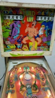 WILDLIFE CLASSIC PINBALL MACHINE GOTTLIEB PROJECT - 5