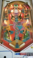 WILDLIFE CLASSIC PINBALL MACHINE GOTTLIEB PROJECT - 6