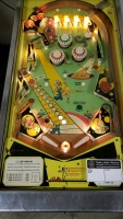 BALLY HOO CLASSIC PINBALL MACHINE BALLY 1969 - 4