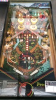 RAVEN PINBALL MACHINE GOTTLIEB - 5