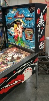 FLASH PINBALL MACHINE WILLIAMS 1978 STEVE RICHIE DESIGN - 3