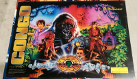 CONGO PINBALL WILLIAMS TRANSLITE ONLY