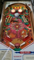 JUNGLE PRINCESS PINBALL MACHINE GOTTLIEB 1977 - 5