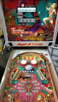 JUNGLE PRINCESS PINBALL MACHINE GOTTLIEB 1977 - 9