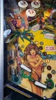 SPRING BREAK PINBALL MACHINE GOTTLIEB - 7