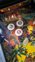 SPRING BREAK PINBALL MACHINE GOTTLIEB - 9