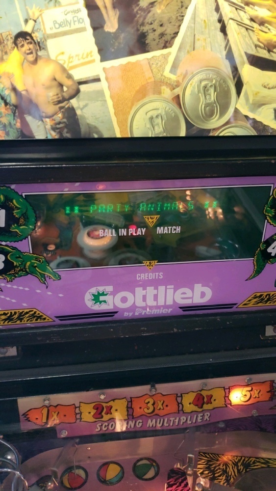 Spring Break Pinball Machine SPRING BREAK PINBALL MACHINE GOTTLIEB