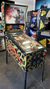 RAVEN PINBALL MACHINE GOTTLIEB PROJECT