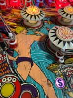 FUTURE SPA CLASSIC WIDE BODY PINBALL MACHINE BALLY - 16